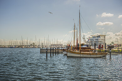 Der Hafen von Wendtorf, mit vielen Booten. 