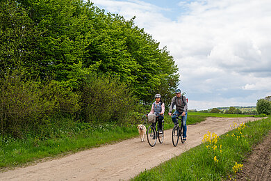 Fahrrad, Paar, Grebin, Hund