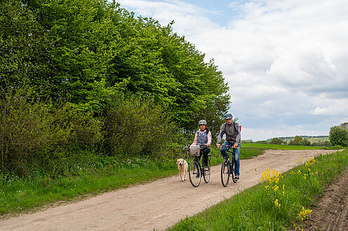 Fahrrad, Paar, Grebin, Hund