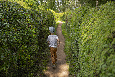 Ein kleines Kind läuft durch den Irrgarten. Links und rechts stehen Meterhohe Wände aus eine Hecke, die das Labyrinth darstellen.