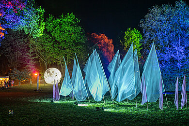 Die Bäume im Kurpark werden mit verschiedenen Lichtern angestrahlt. Manche Bäume im Hintergrund leuchten Blau, andere Grün, oder Rot. Vor den Bäumen in der Mitte sind riesengroße (fast so große wie die Bäume) Fahnen zu sehen. Die Fahnen leuchten in einem durchsichtigem Türkise.