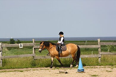 Ein Mädchen auf einem brauenn Pony auf einem Reitplatz. Dahinter grüne Wiesen.