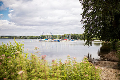 Segelhafen, See, Dersau