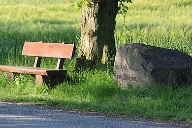 Eine Parkbank, daneben ein Stein, in der mitte ein Baum. 