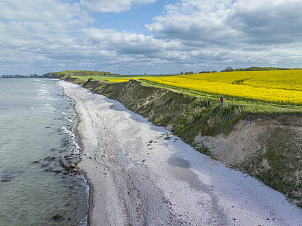 Paar geht entlang der Steilküste Holnis spazieren. Links ist die Ostsee zusehen und recht die Steilküste mit den blühenden Rapsfeldern.
