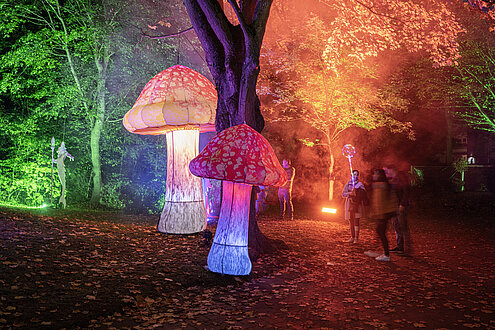 Zwei große Lichtinstallationen in Form von Pilzen stehen im Kurpark und leuchten in den Farben eines Fliegenpilzes. Stängel in weiß und der Hut in rot mit weißen Punkten..