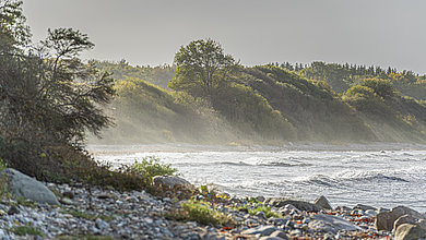 Blick auf die Steilküste in Wangels bei Morgengrauen.