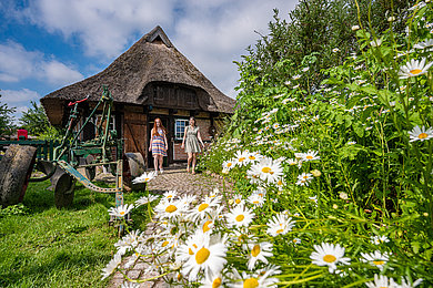 Ein reetgedecktes Haus lugt zwischen grünen Bäumen und Blumen hervor. 