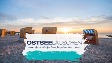Zu sehen sind Strandkörbe am Meer. 