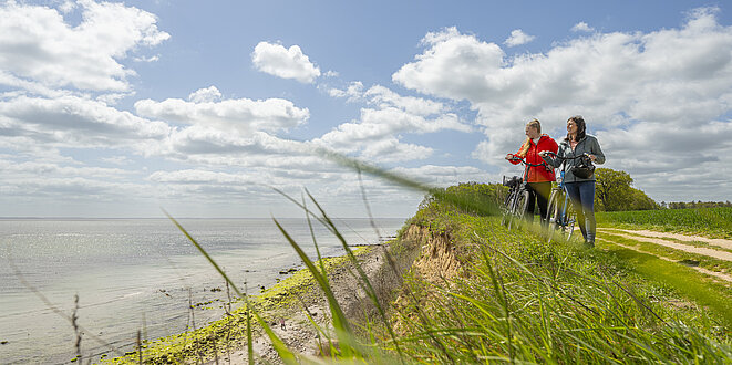 Zwei Personen stehen mit den Fahrrädern oben auf der Steilküste und schauen auf die Ostsee. Die Ostsee ist links im Bild.