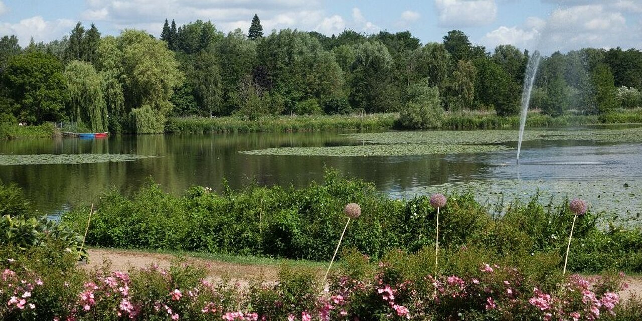 Ein Park mit einem Teich. 