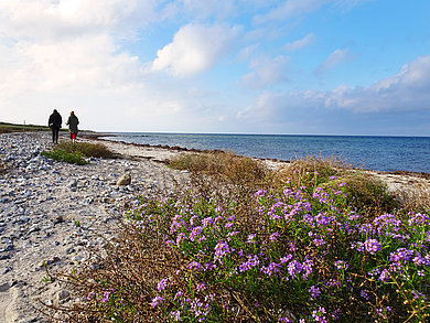 Naturschutzgebiet Behrensdorf
