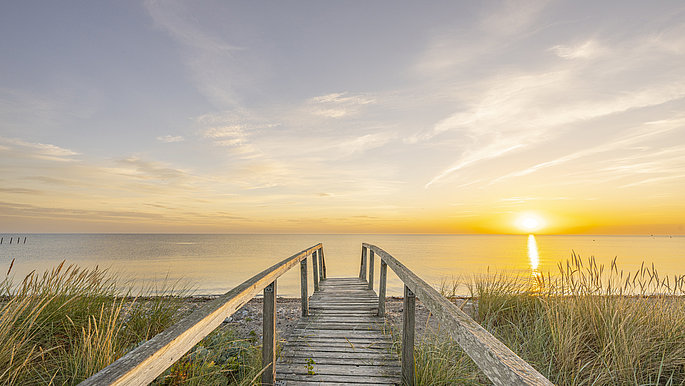Zu sehen ist der Strandzugang zum Behrensdorfer Strand. Der Weg führt über eine Holzbrücke zum Strand. Links und rechts sind die mit grasbewachsenen Dünen.