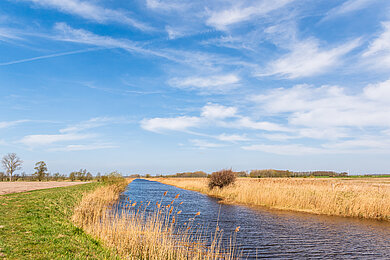 Ein fließendes kleines Gewässer umgeben von Feld auf der rechten Seite, links grüne Wiese. Viel Himmel ist auf dem Bild mit hellblauem Himmel und leichten Schleierwolken.