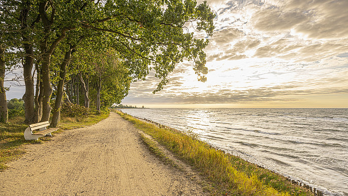 Ein Wanderweg, links eine Reihe von grünen Bäumen, rechts das Meer. Das Meer glitzert im Gegenlicht.