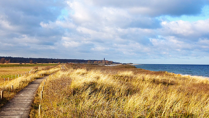 Landschaft vom Naturschutzgebiet Behrensdorf - Bohlenweg.
