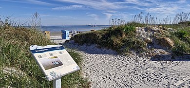 Eine Infotafel vor einem Strand an der Ostsee Schleswig-Holstein. 