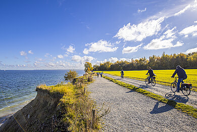 Ein Radweg, links Steilküste hinab zum Meer, rechts blüht der Raps gelb auf einem Feld.