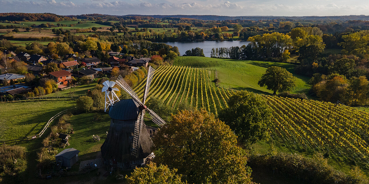 Luftbild, Mühle, Weinberge, Natur, Grebin