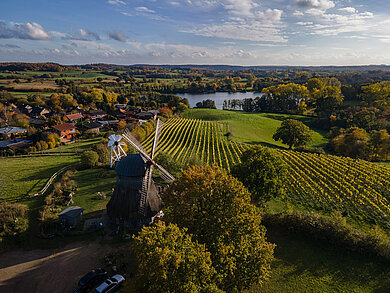 Luftbild, Mühle, Weinberge, Natur, Grebin