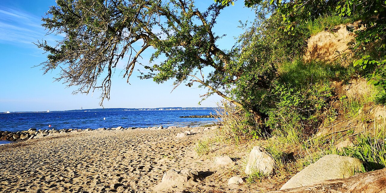 Strand in Sierksdorf, Bäume im Bild und das Meer. 