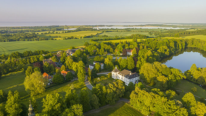 Luftbildaufnahme von Panker im Sommer. Die Blume sind grün.