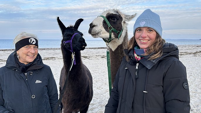 Zwei Frauen und zwei Lamas am Strand an der Ostsee