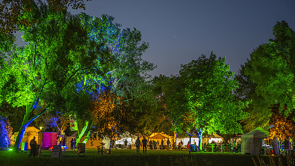 Der Kurpark erstrahlt in vielen bunten Lichtern, die an den Bäumen hängen, oder als Kunstwerke im Kurpark stehen.