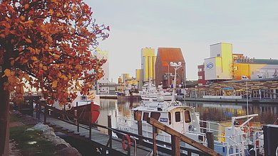 Zu sehen ist der Fischereihafen von Heiligenhafen im Herbst. Die Blätter sind bunt und im Hafen stehen viele Schiffe.