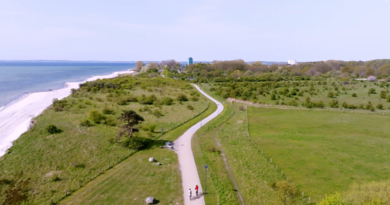 Ein Radweg von oben. Links sieht man das Meer, rechts grüne Wiesen. 
