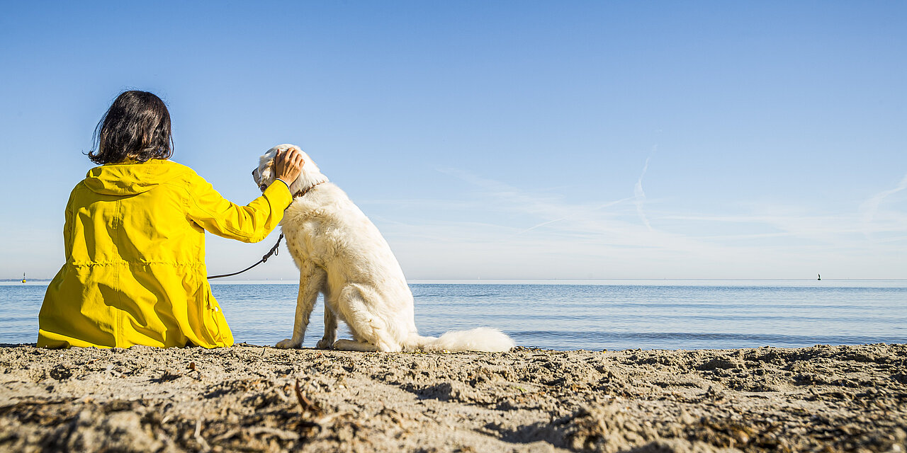 Frau in gelber Regenjacke sitzt mit einem weißen Hund am Strand