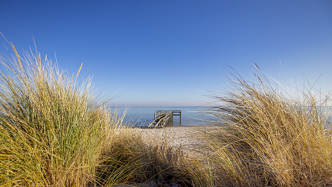 Dünen, dahinter das Meer, der Himmel ist hellblau. Ganz klein im Hintergrund ist eine kleine Seebrücke zu sehen. 