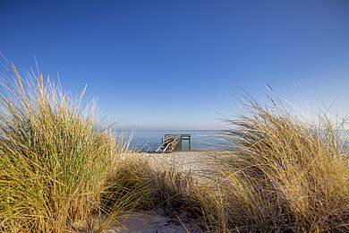 Dünen, dahinter das Meer, der Himmel ist hellblau. Ganz klein im Hintergrund ist eine kleine Seebrücke zu sehen. 