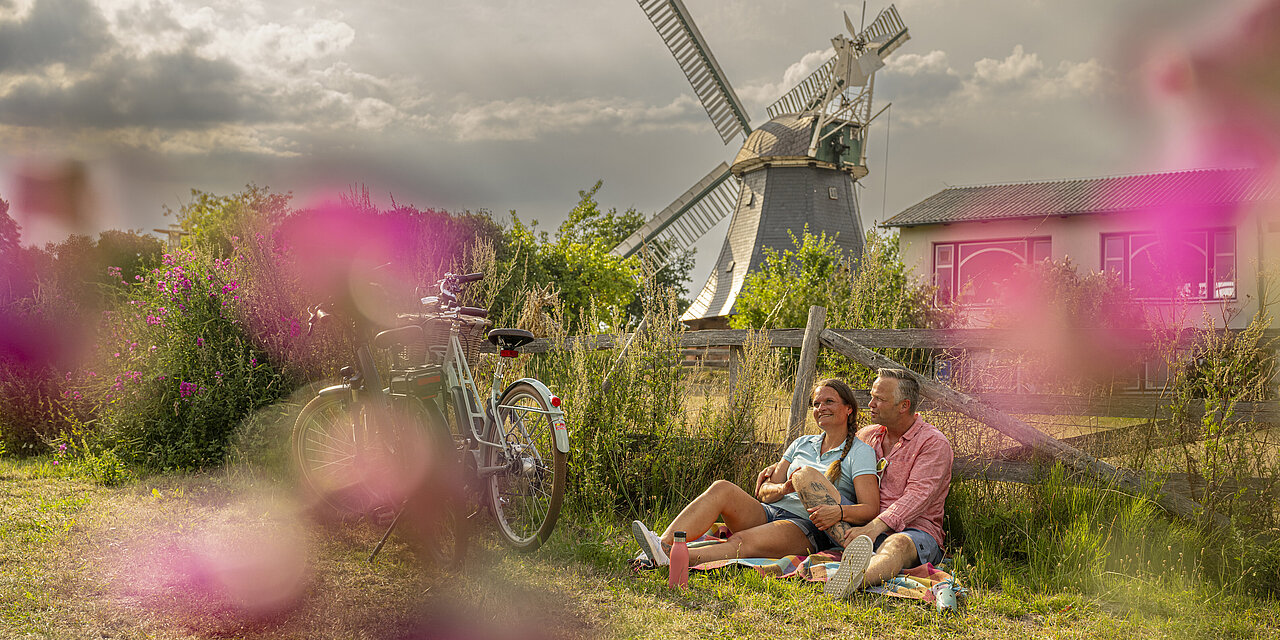 Eine grüne, blühende Wiese und im Hintergrund eine Mühle. 