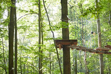 Man sieht Baumkronen, dazwischen mit Holz angelegte Kletterwege.