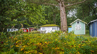 Fischerhütten im Hintergrund, es sind kleine bunt bemalte Holzhäuschen. Im Vordergrund eine grüne Hecke über die fotografiert wurde.