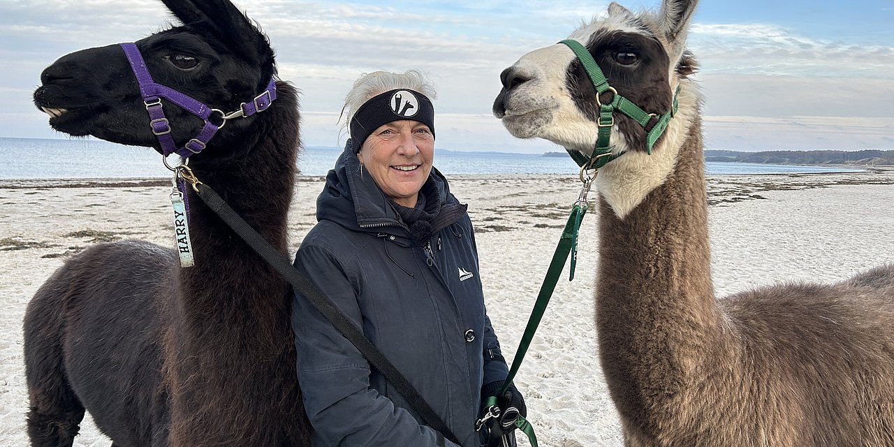Eine Frau mit zwei Lamas am Strand.