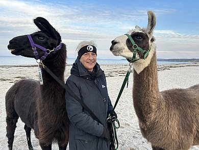 Eine Frau mit zwei Lamas am Strand.