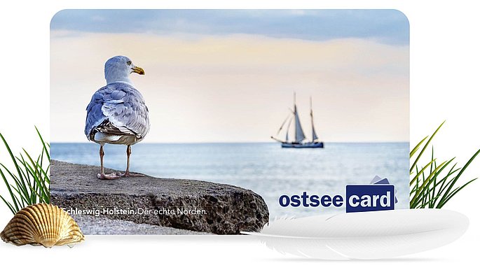 Beispiel ostseecard