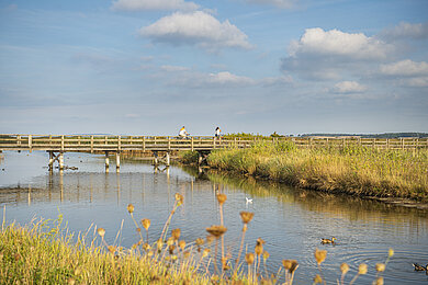 Zu sehen ist das Vogelschutzgebiet am Sehlendorfer Strand. In dem Bild ist der Binnensee zu sehen und eine Brücke die über den Binnensee führt.