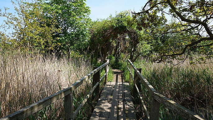 NABU Wasservogelreservat Wallnau