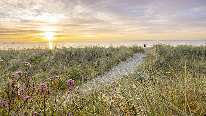 Die sonne über dem Meer von Damp. Man sieht viel Dünen und im Hintergrund glitzert das Meer. 
