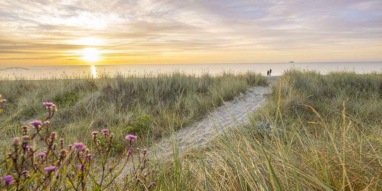 Die sonne über dem Meer von Damp. Man sieht viel Dünen und im Hintergrund glitzert das Meer. 